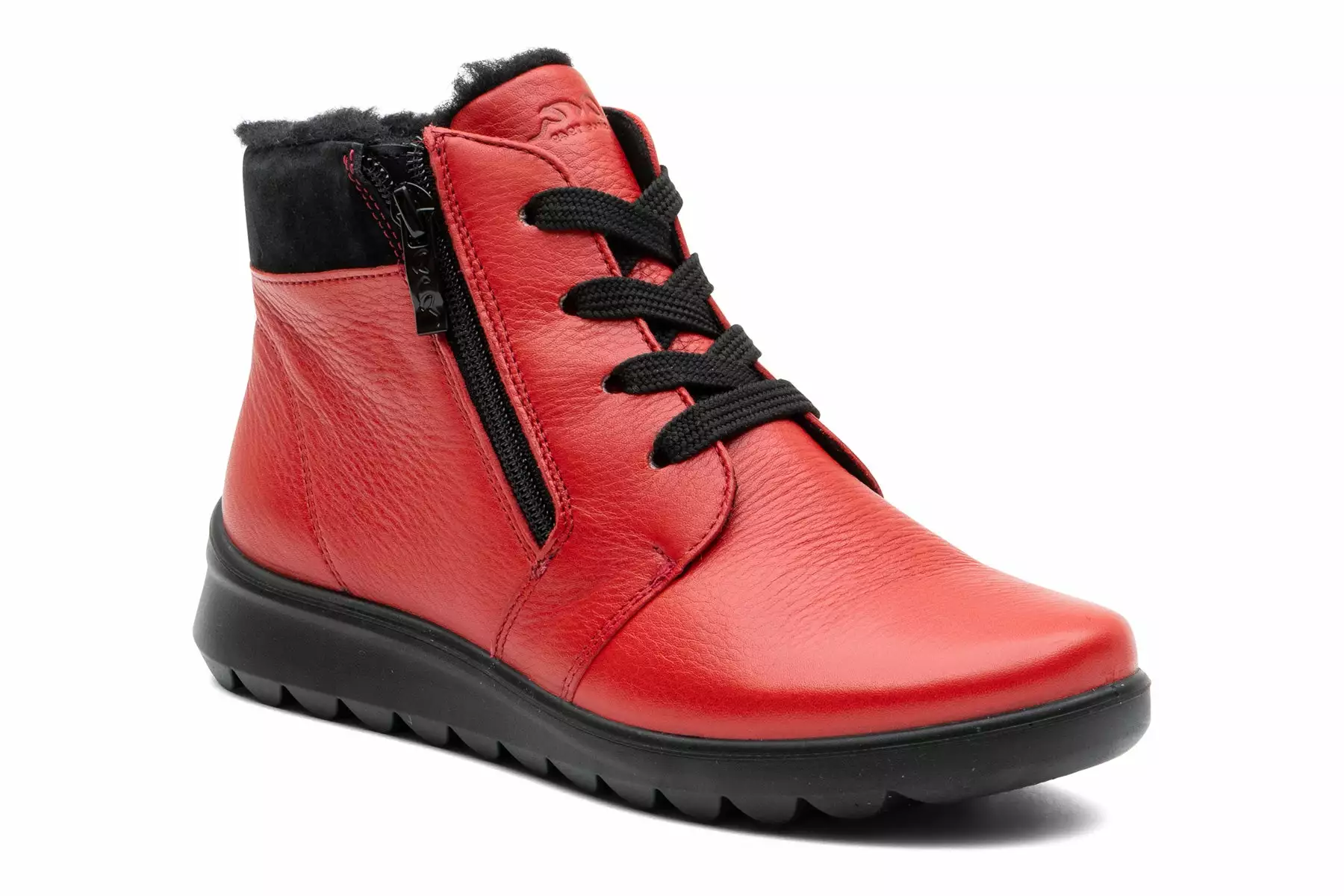 Ara Tonya 3 Ara Tonya