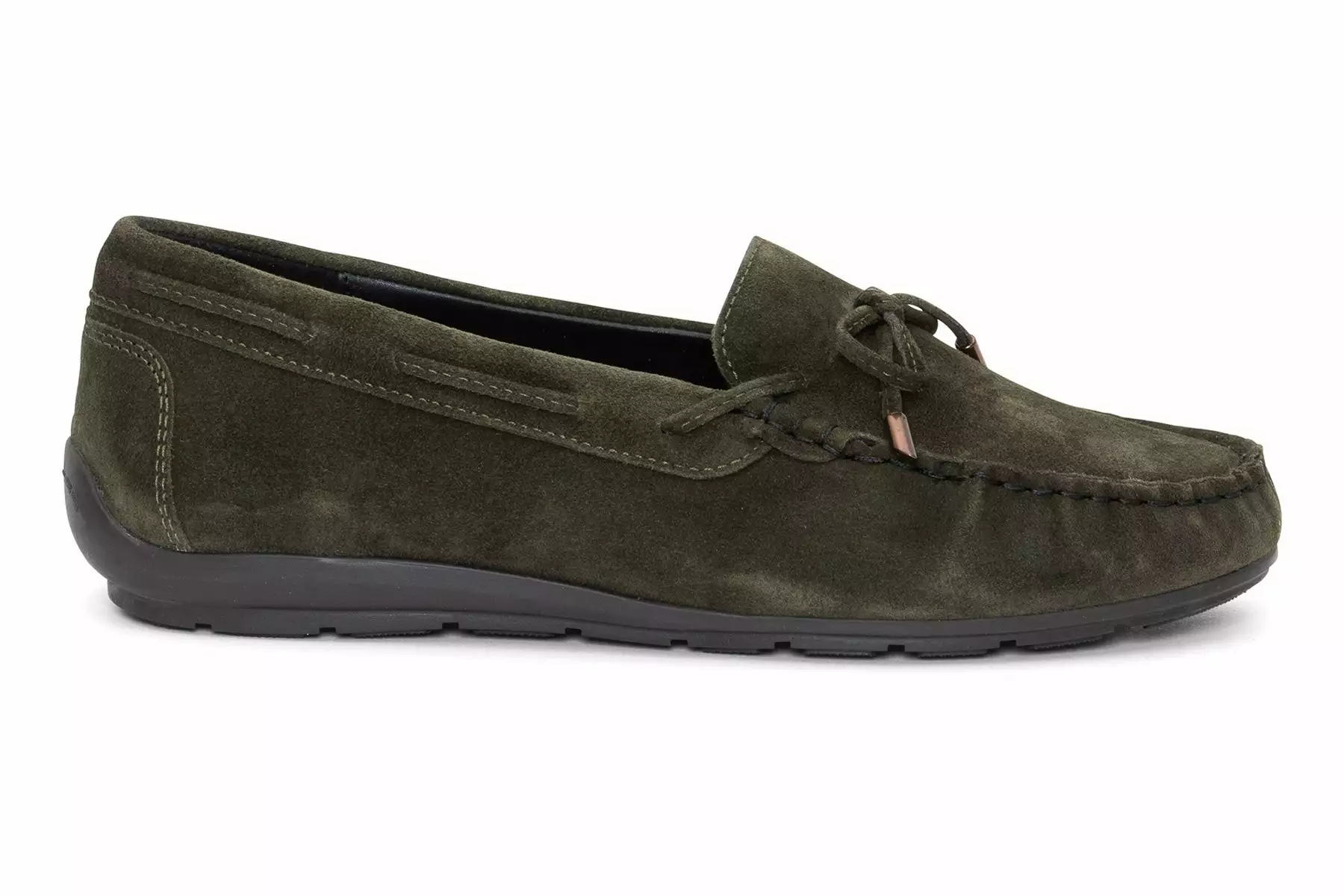 Ara Amarillo 9 Ara Amarillo - Image 7